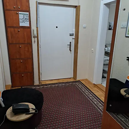 Dream M Zaječar