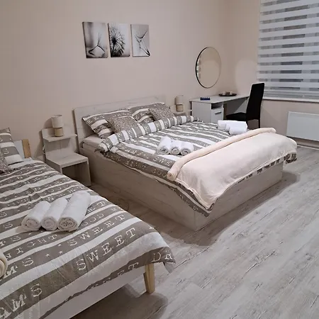 Dream M Zajecar